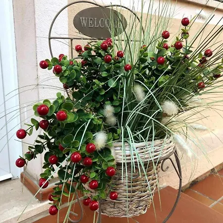 Дом отдыха Elegante Lu Centro Citta Con Parcheggio *